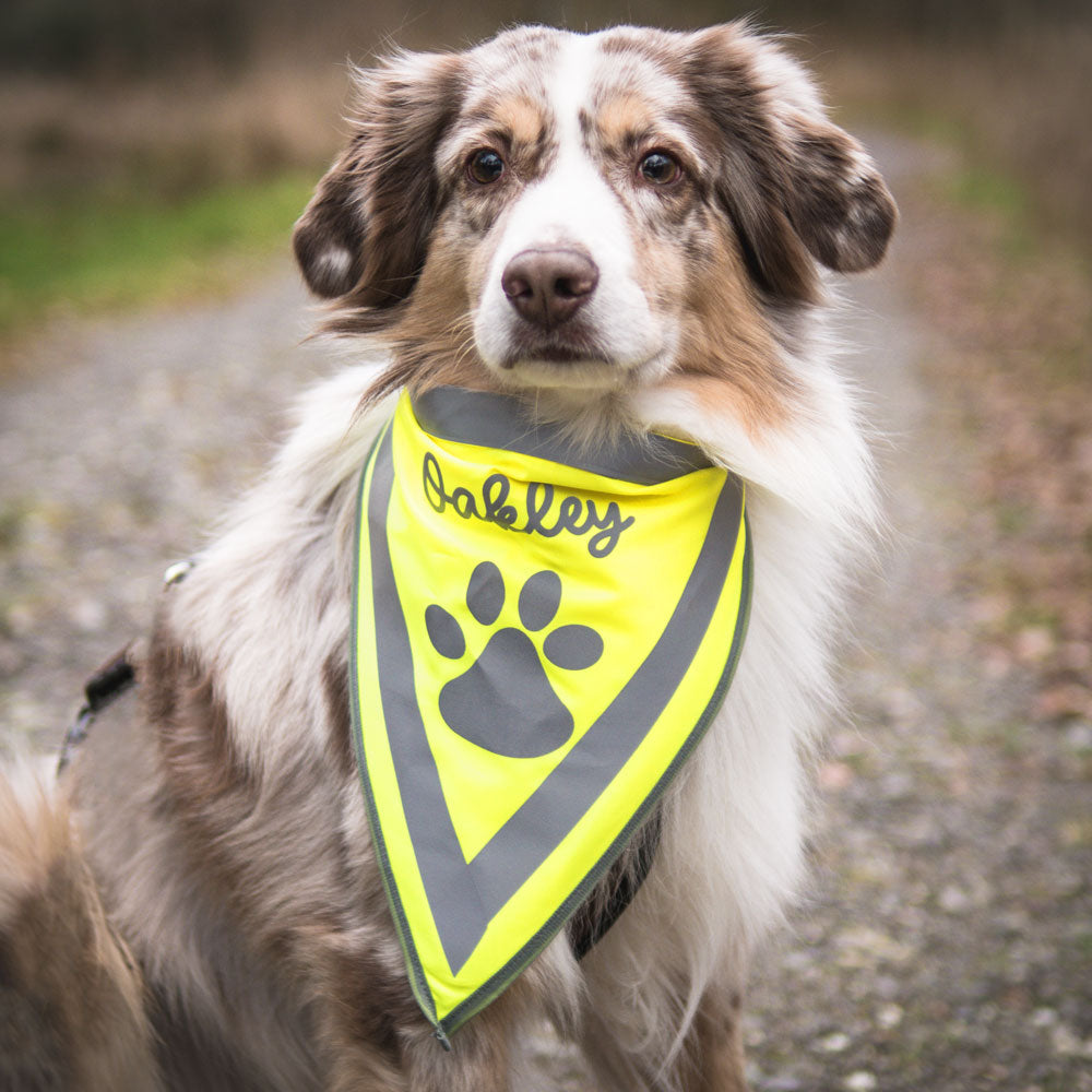 Halstuch Neon Reflektierend Hund mit Name personalisiert