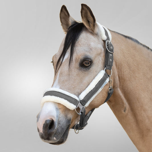 Halfter Sparkle in Grau | Pferd, Pony, Geschenk