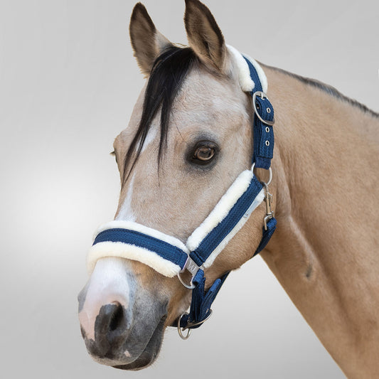 Halfter Sparkle in Nachtblau | Pferd, Pony, Geschenk