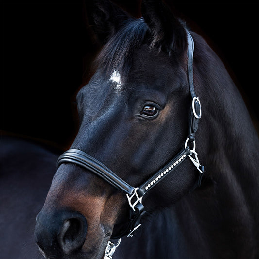 Lederhalfter "Lovely" in Schwarz | Pferd, Pony