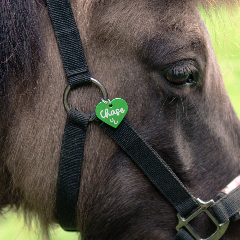 Grüne Marke Anhänger Herz "Wunschwort + Symbol" | personalisiert | Geschenk, Geschenkidee, Glücksbringer