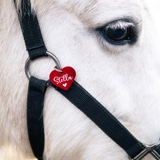 Rote Marke Anhänger Herz "Wunschwort + Symbol" | personalisiert | Geschenk, Geschenkidee, Glücksbringer